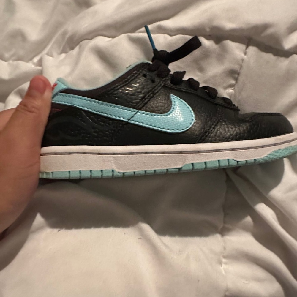 Kids Dunk